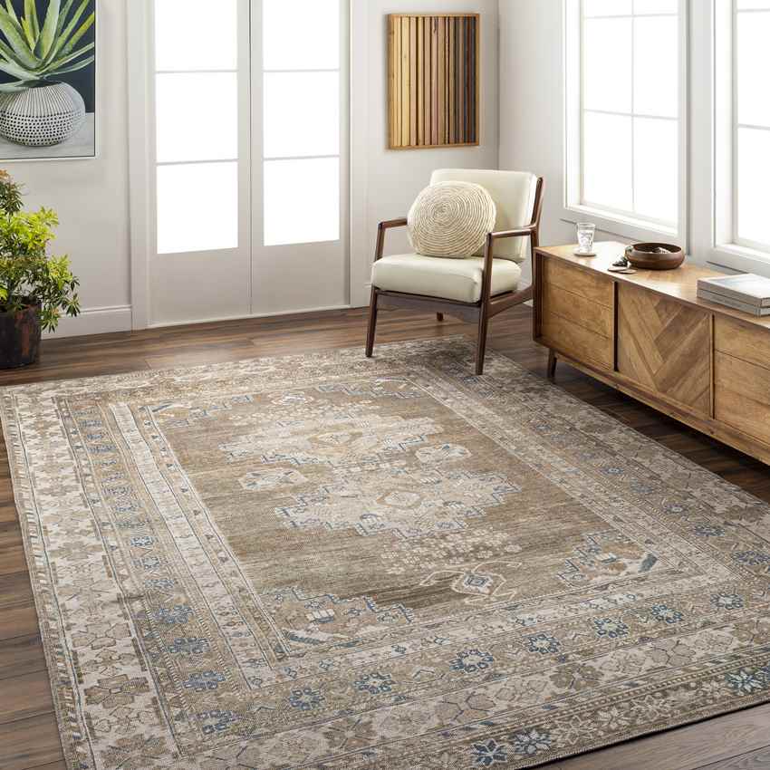 McCordsville Traditional Washable Rug, Brown