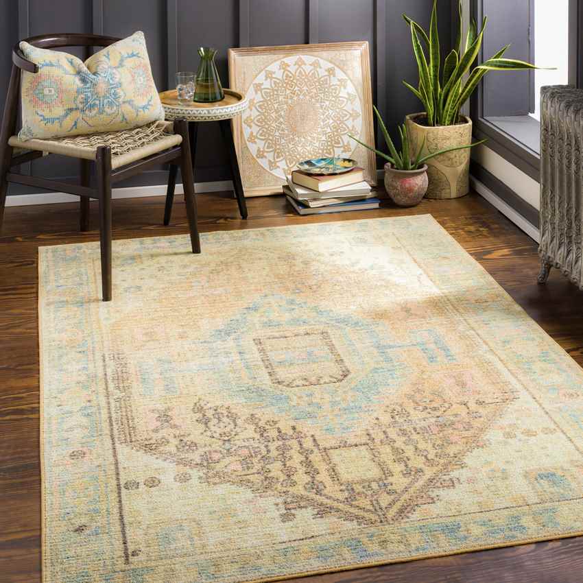 Palos Park Traditional Washable Rug, Tan