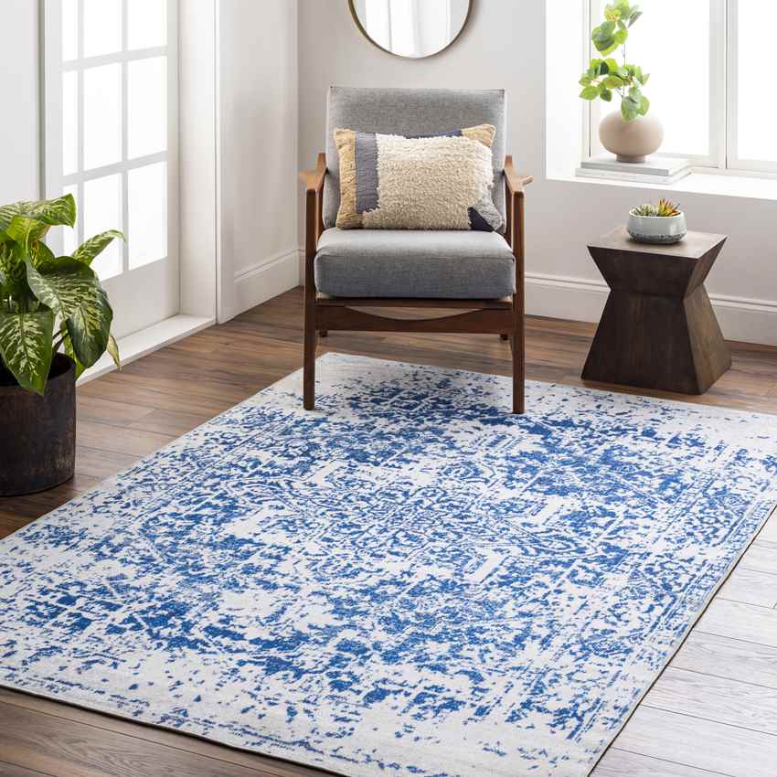 Straughn Traditional Washable Rug, Blue