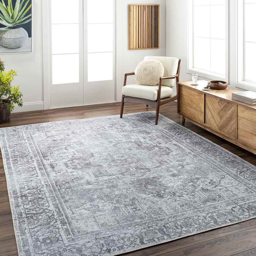 Whitten Traditional Washable Rug, Light Gray