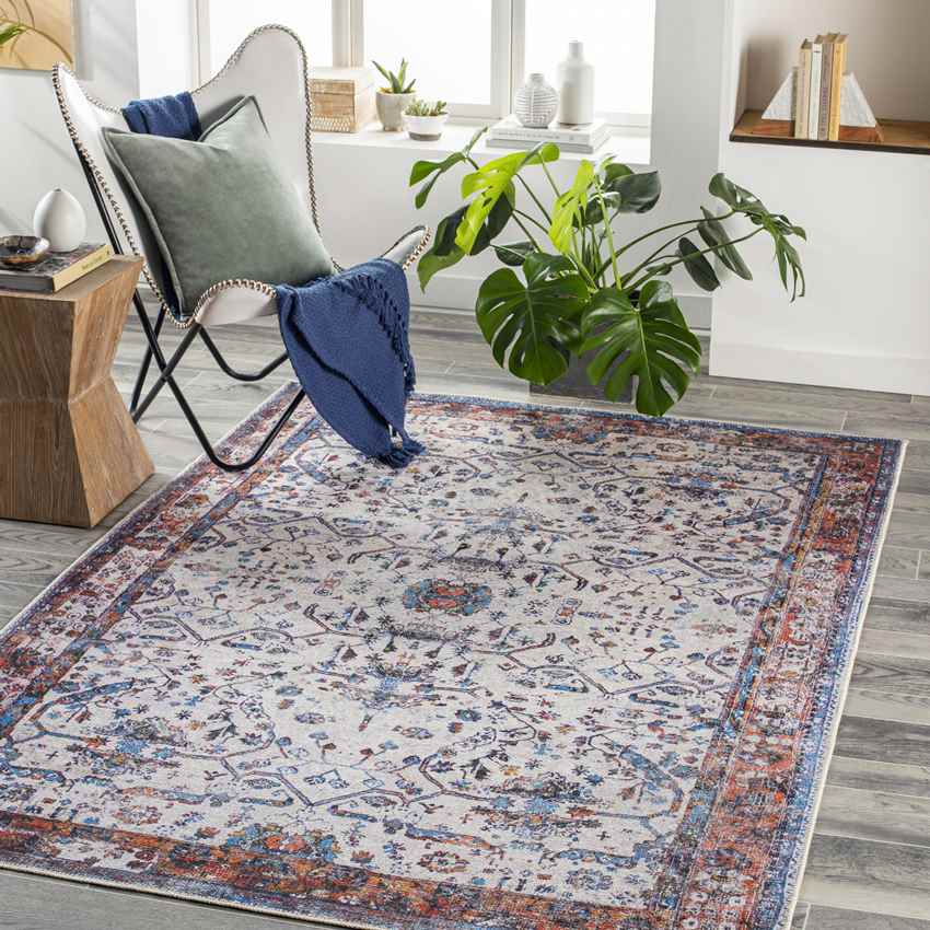 Winterset Traditional Washable Rug, Light Gray