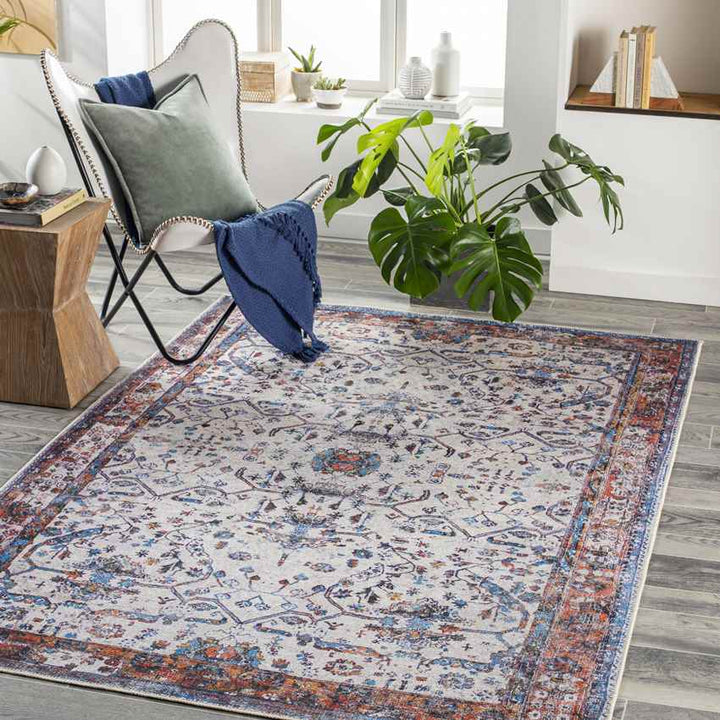 Winterset Traditional Washable Rug, Light Gray