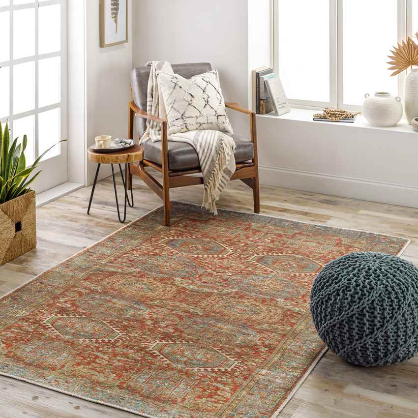 Xeros Traditional Washable Rug, Rust