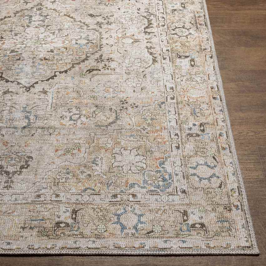 Goose Lake Traditional Washable Rug, Taupe