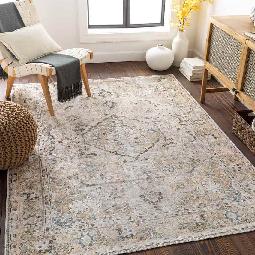 Goose Lake Traditional Washable Rug, Taupe