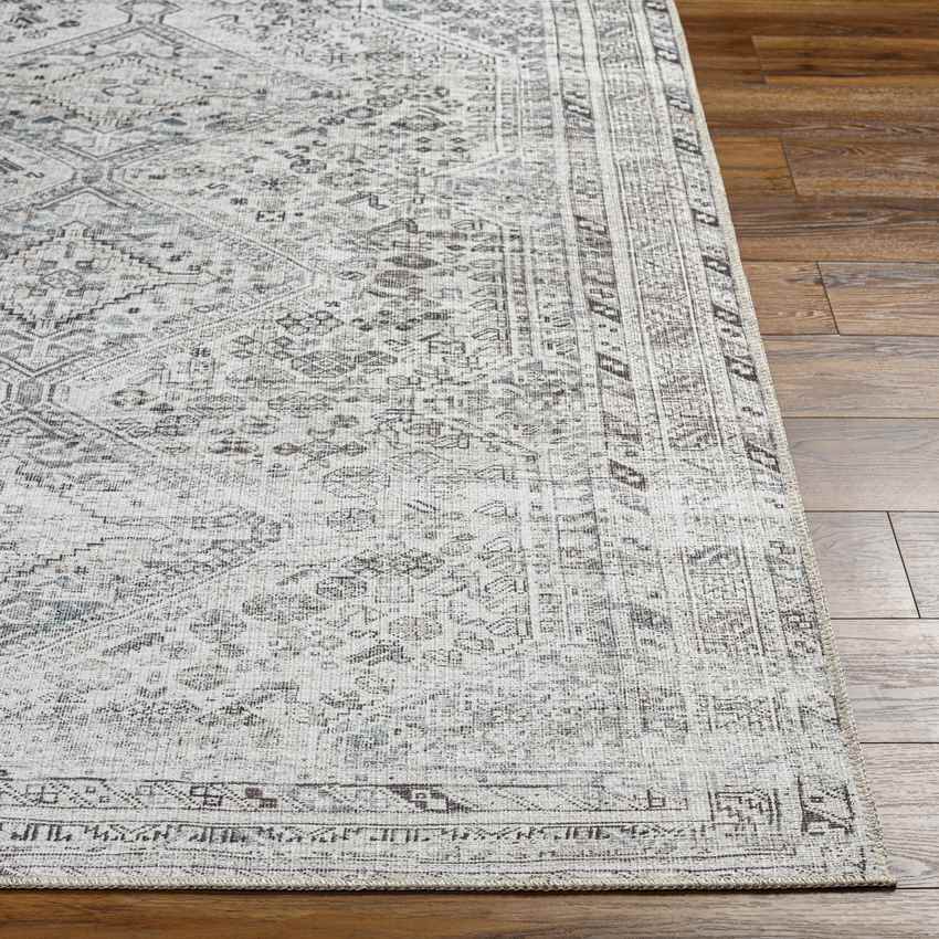 Tonganoxie Traditional Washable Rug, Ivory