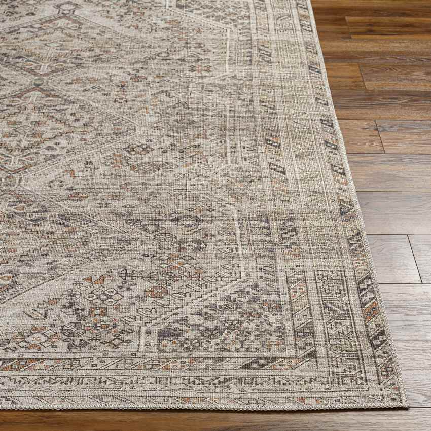 Tonganoxie Traditional Washable Rug, Light Beige