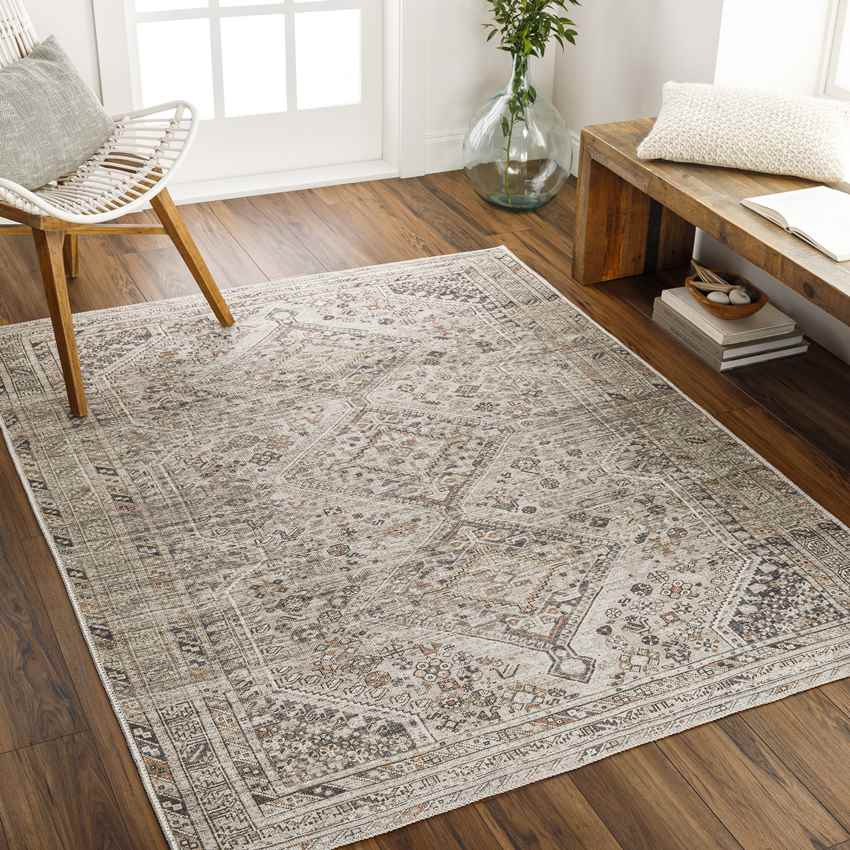 Tonganoxie Traditional Washable Rug, Light Beige