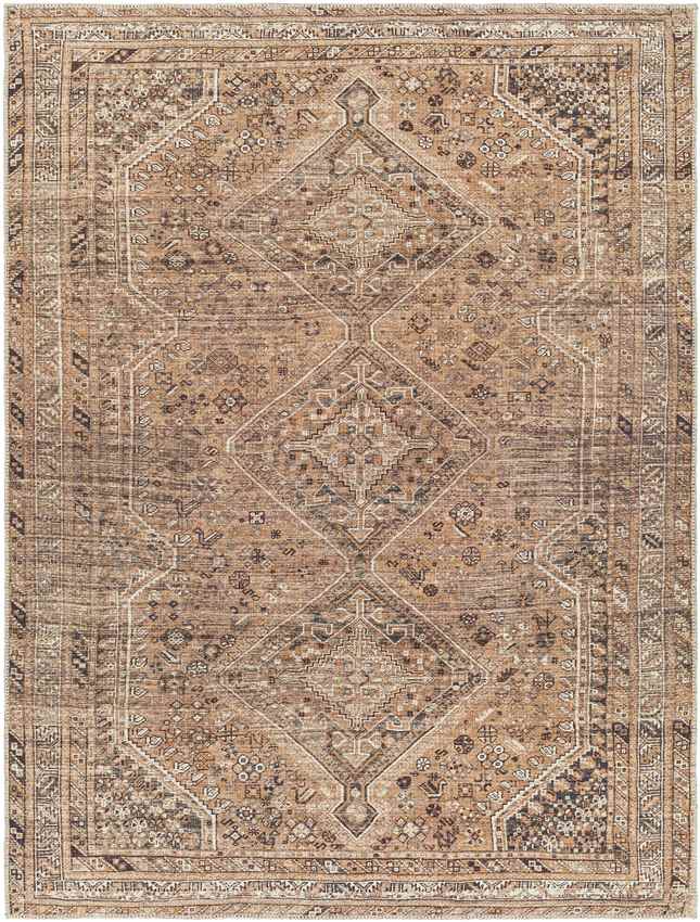 Tonganoxie Traditional Washable Rug, Cider