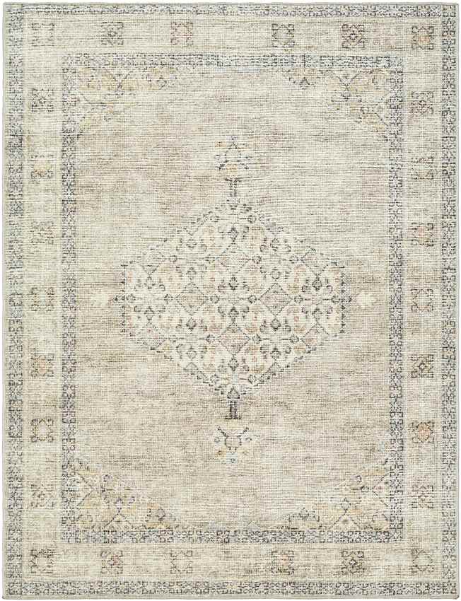 Jamesa Traditional Rug, Light Brown/Cream