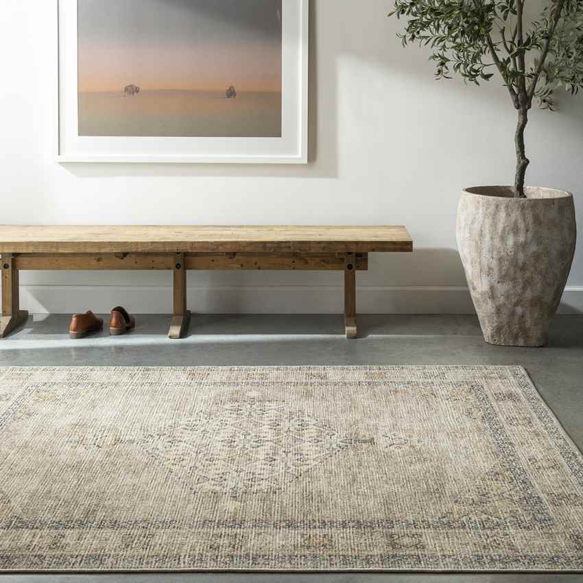 Jamesa Traditional Rug, Light Brown/Cream