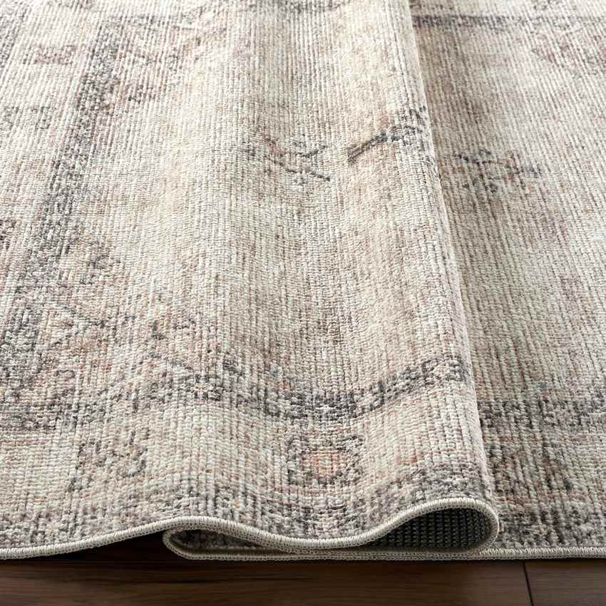 Jamesa Traditional Rug, Blush/Beige