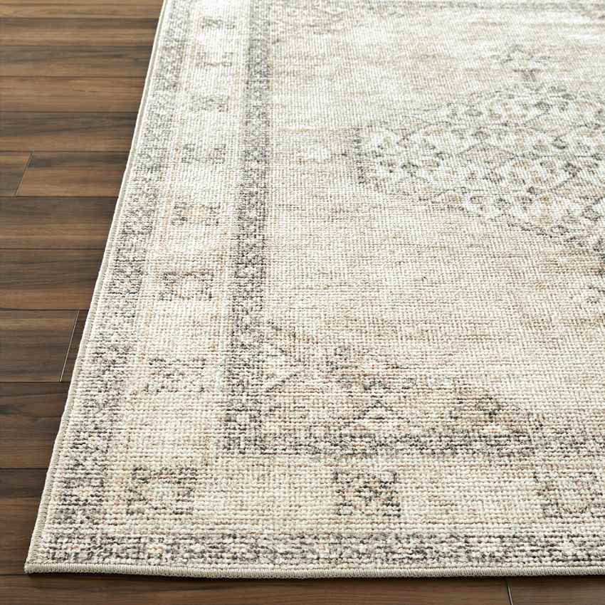 Jamesa Traditional Rug, Blush/Beige