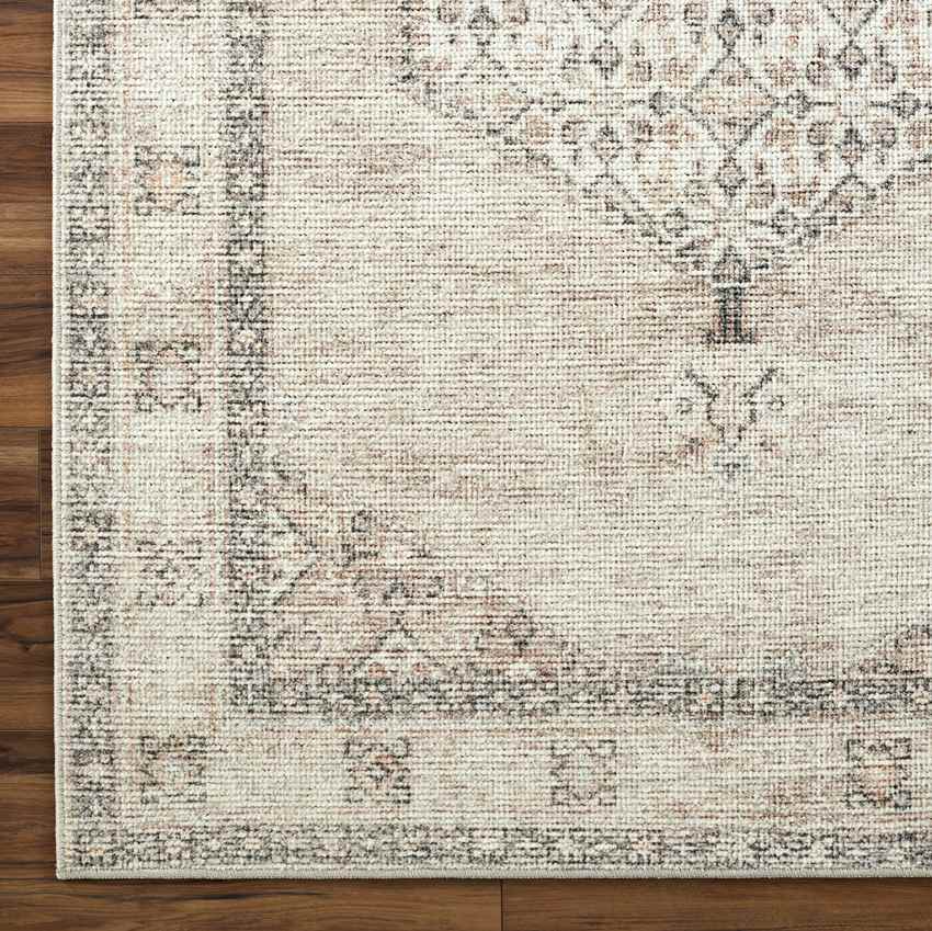 Jamesa Traditional Rug, Blush/Beige