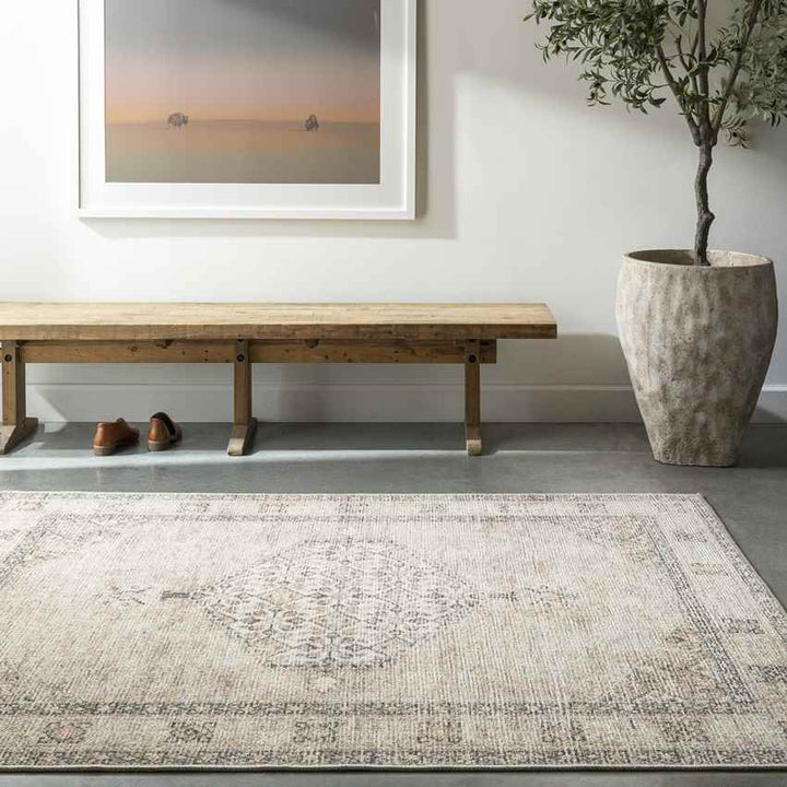 Jamesa Traditional Rug, Blush/Beige