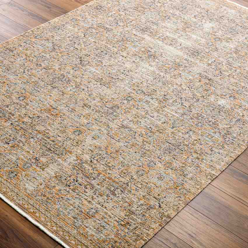 Radha Traditional Washable Rug, Brown