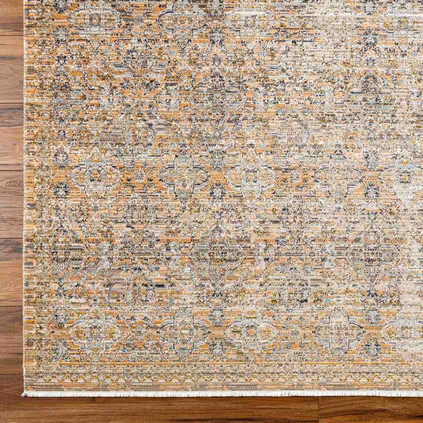 Radha Traditional Washable Rug, Brown