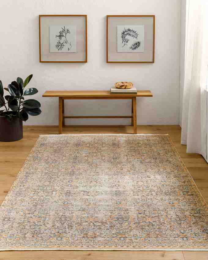 Radha Traditional Washable Rug, Brown