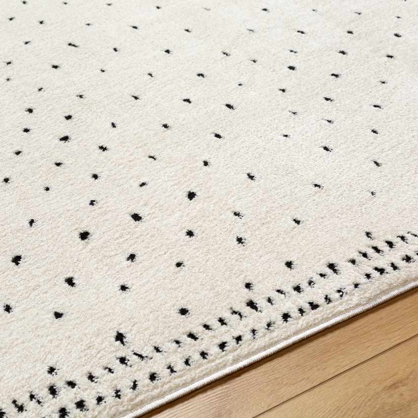 Monisha Modern Rug, Ivory/Black