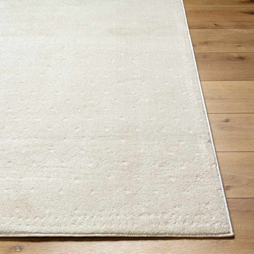 Monisha Modern Rug, Ivory/Off-White