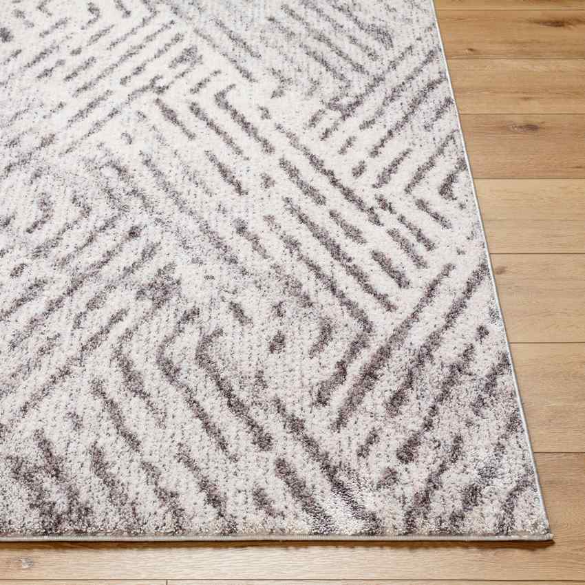 Prince Traditional Rug, Medium Gray/Light Beige