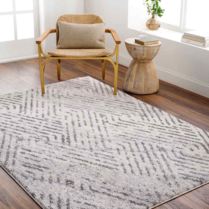 Prince Traditional Rug, Medium Gray/Light Beige