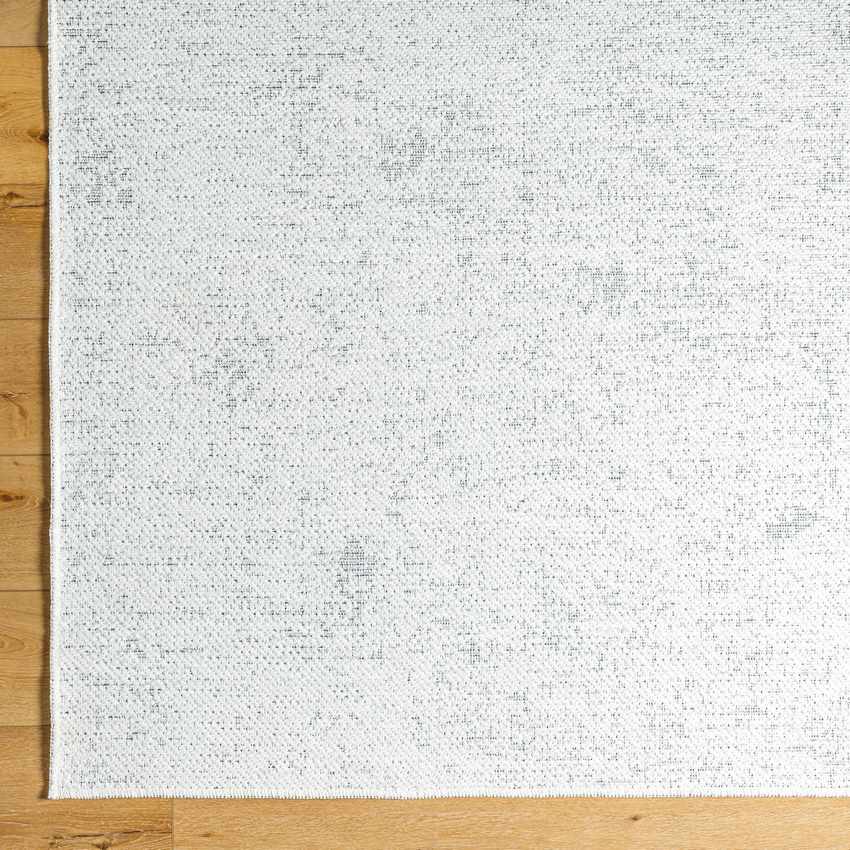 Tobey Solid & Border Washable Rug, White