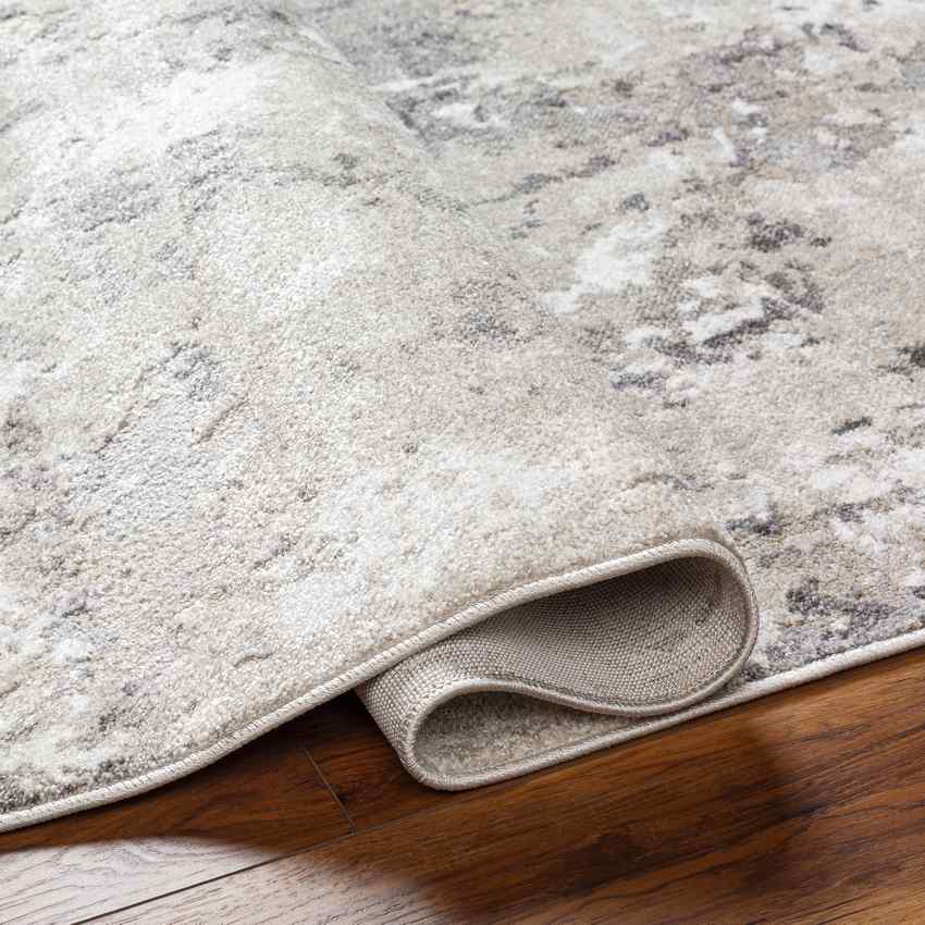 Susy Modern Rug, Tan