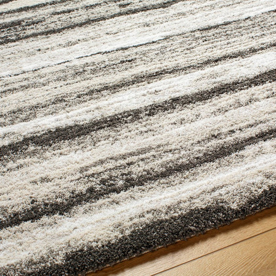 Rayshon Modern Rug, Black