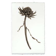 Load image into Gallery viewer, Artichoke Flower
