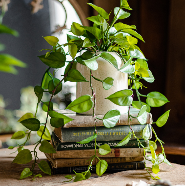 Artificial Devil's Ivy Plant in White Pot - Mac & Mabel