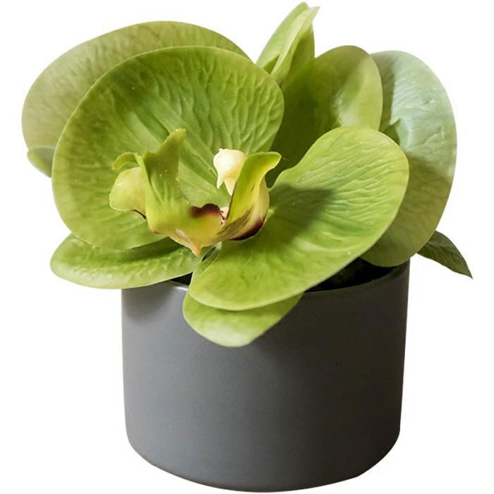 Artificial Faux Flower Mini Real Touch Potted Orchid Green - Mac & Mabel