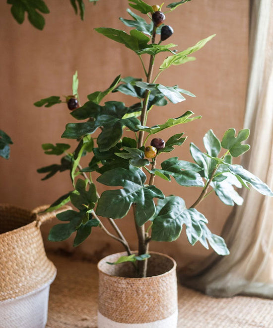 Artificial Silk Fig Tree In Pot - Mac & Mabel