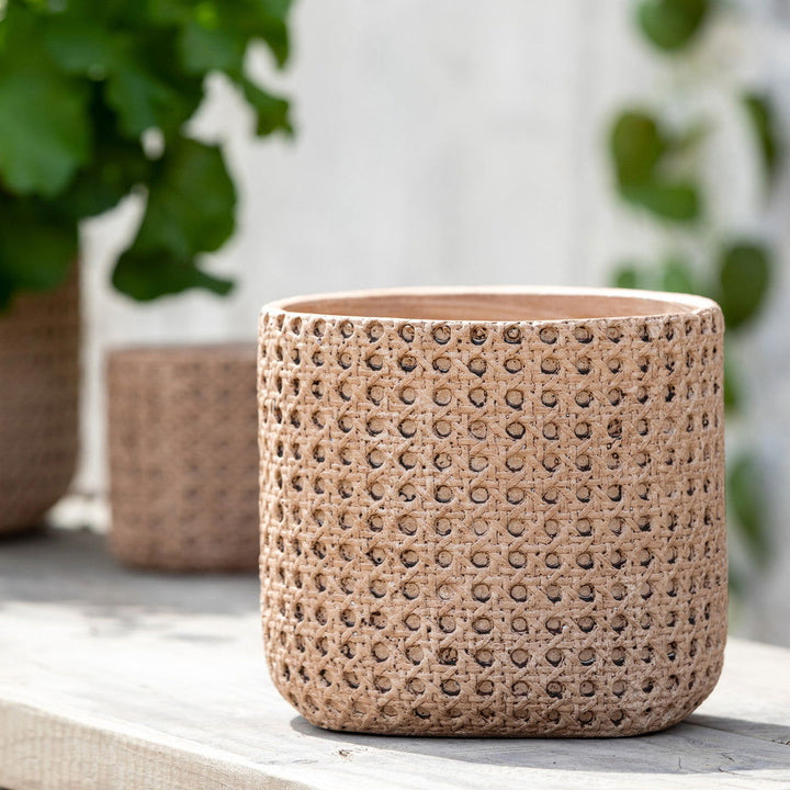 Cane Relief Pattern Cement Pot, 7" - Mac & Mabel