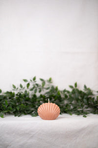 "Shell" Candle Collection