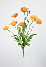 Load image into Gallery viewer, Orange Poppy Bush, 15&quot;
