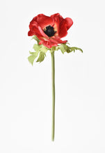 Load image into Gallery viewer, Red Anemone Stem, 17&quot;

