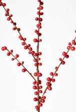Load image into Gallery viewer, Outdoor Red Berry Stem
