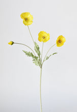 Load image into Gallery viewer, 24&quot; Faux Yellow Poppy Stem
