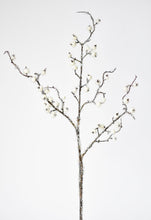 Load image into Gallery viewer, 29&quot; Faux Iced White Berry Stem
