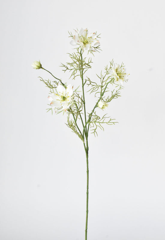 Nigella Stem, 29", White