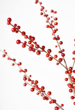 Load image into Gallery viewer, Outdoor Berry Stem, Red

