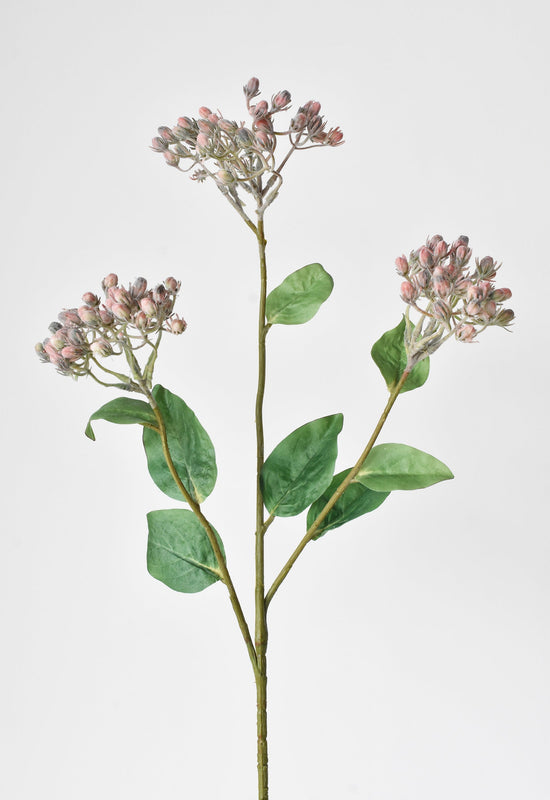 Wild Sedum Berry Stem, 31", Pink