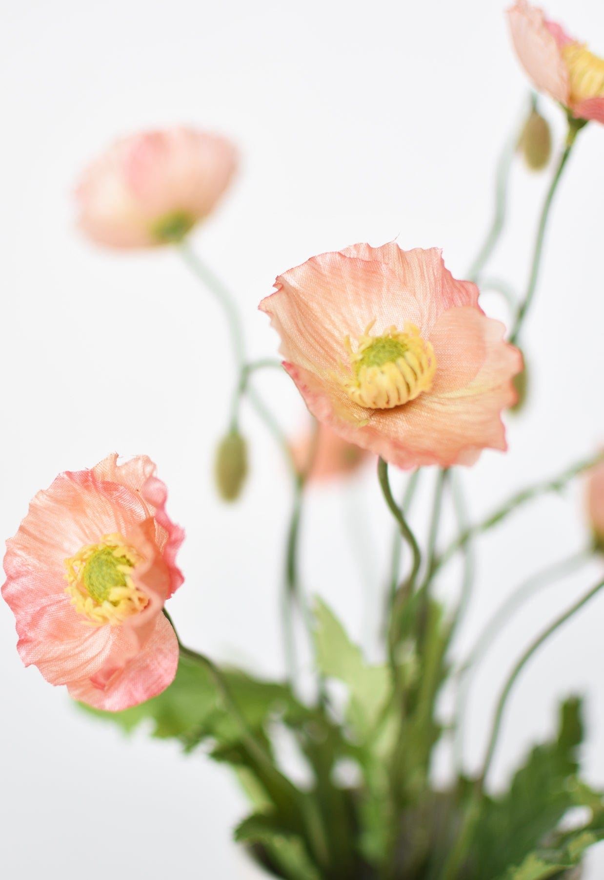 Poppy Bush, 15", Orange & Coral & Salmon