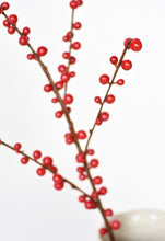 Load image into Gallery viewer, Outdoor Berry Stem, Red
