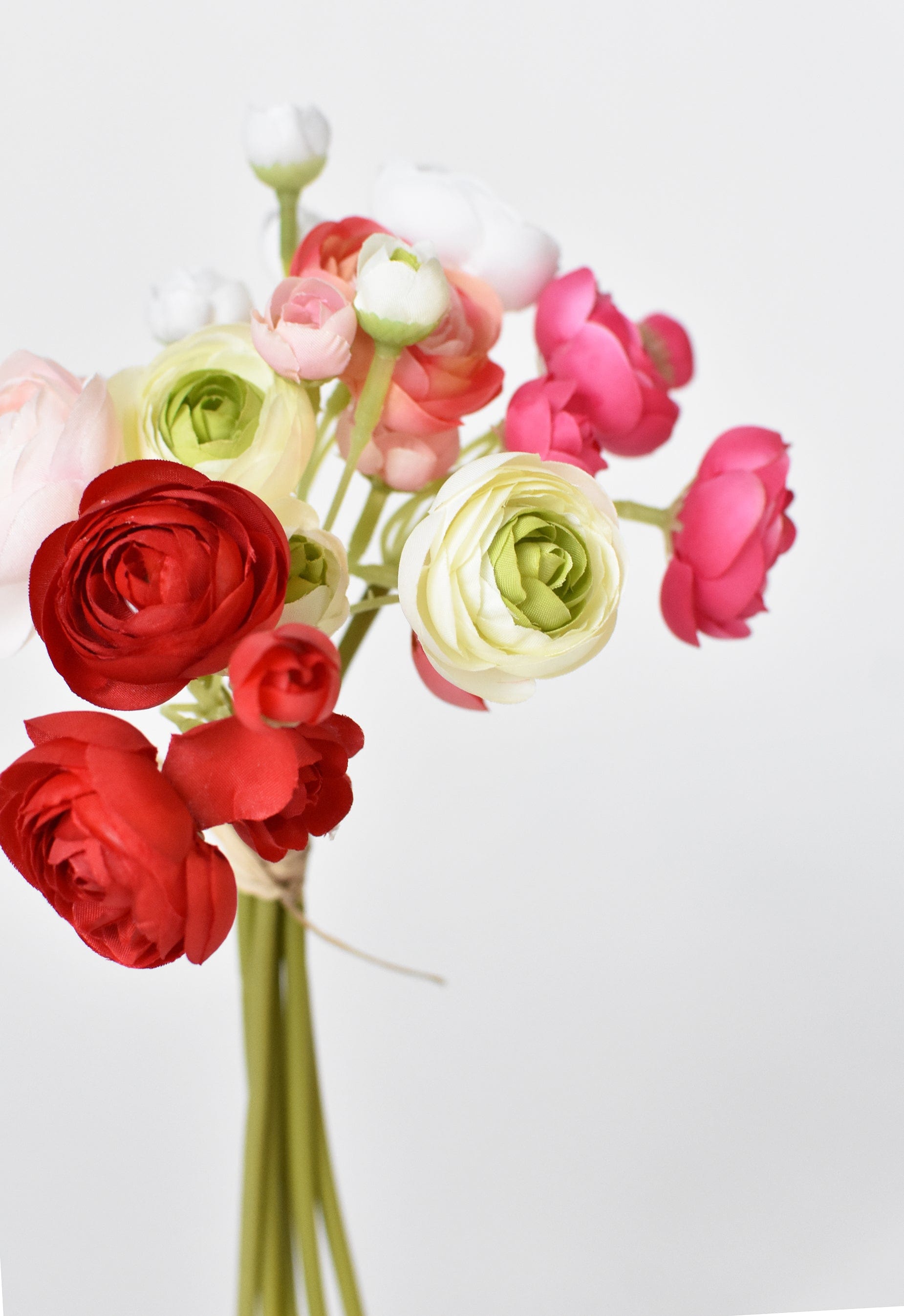 Ranunculus Bundle, 10", Valentine's