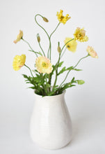 Load image into Gallery viewer, Poppy Bush Yellow Bush, 15&quot;
