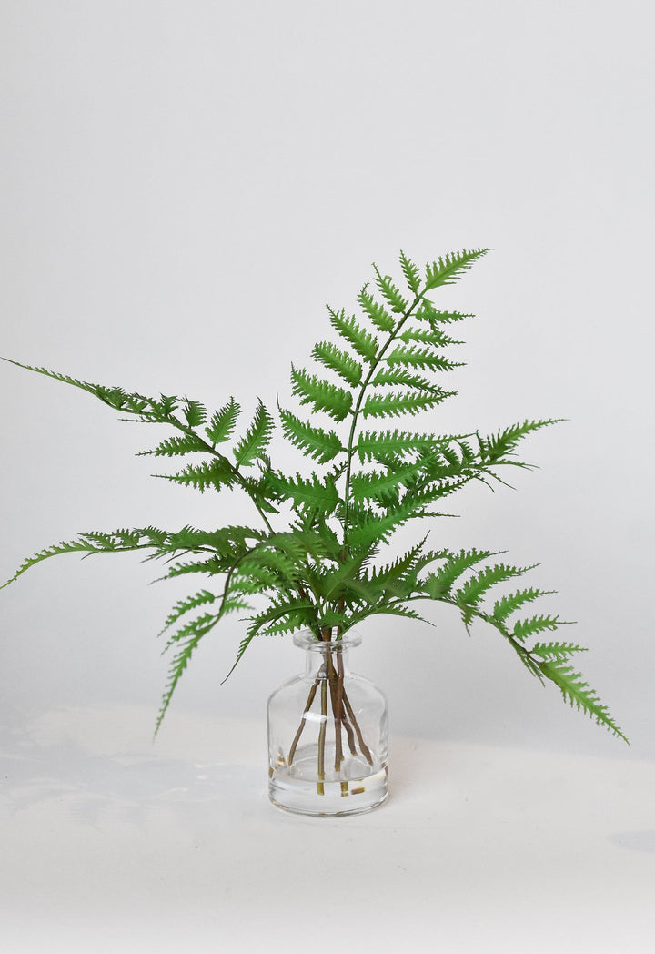 Forest Fern in Glass Vase, 14"