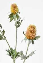 Load image into Gallery viewer, Thistle Spray Stem, 31&quot;, Mauve &amp; Yellow
