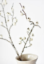 Load image into Gallery viewer, 29&quot; Faux Iced White Berry Stem
